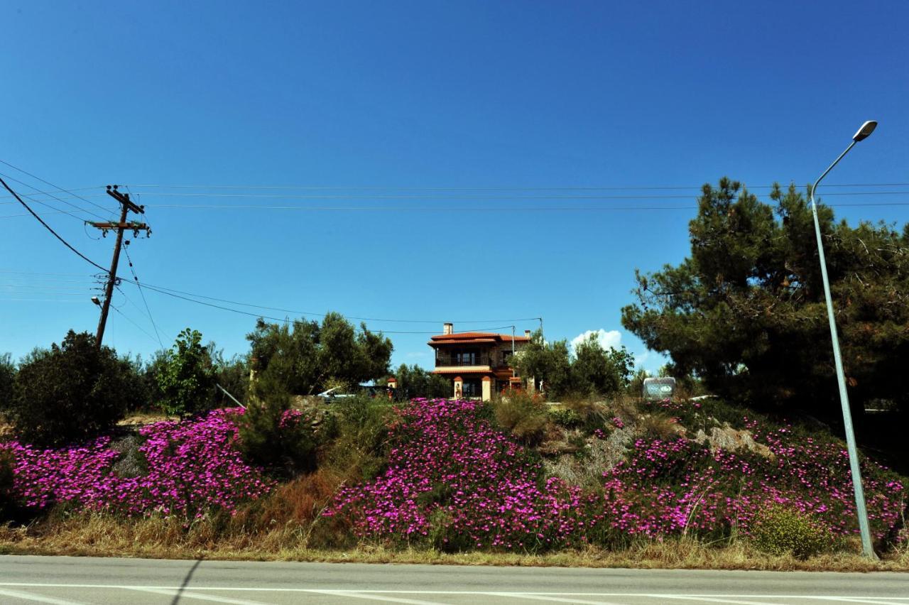 Captain'S Villa Appartments Psakoudia Exterior photo